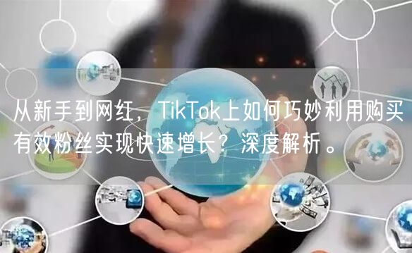 从新手到网红，TikTok上如何巧妙利用购买有效粉丝实现快速增长？深度解析。