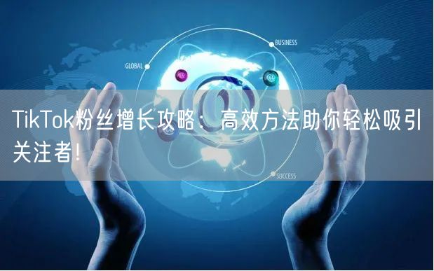 TikTok粉丝增长攻略：高效方法助你轻松吸引关注者！