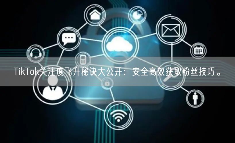 TikTok关注度飞升秘诀大公开：安全高效获取粉丝技巧。