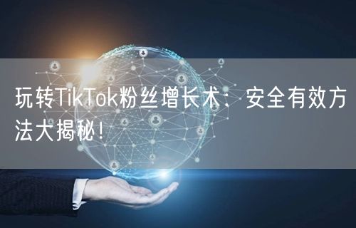 玩转TikTok粉丝增长术：安全有效方法大揭秘！