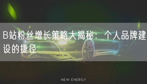 B站粉丝增长策略大揭秘：个人品牌建设的捷径