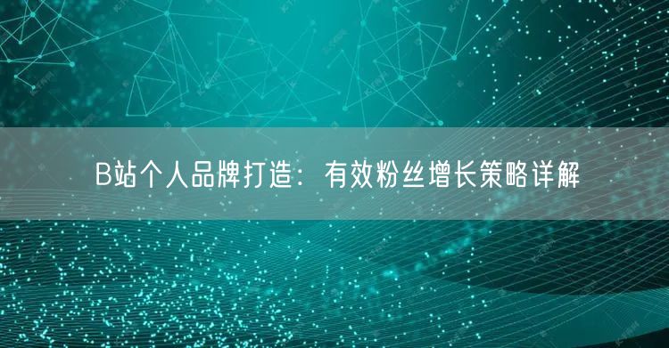 B站个人品牌打造：有效粉丝增长策略详解