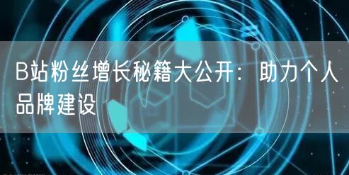 B站粉丝增长秘籍大公开：助力个人品牌建设