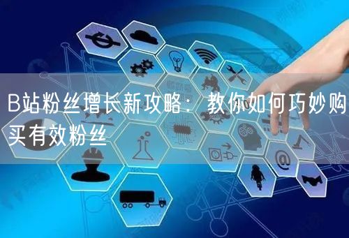 B站粉丝增长新攻略：教你如何巧妙购买有效粉丝