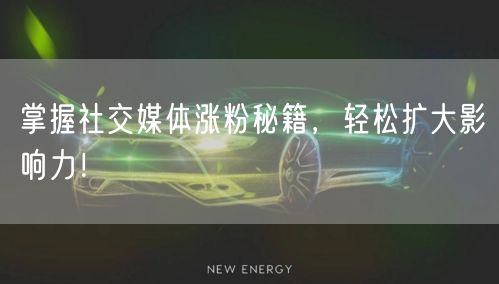 掌握社交媒体涨粉秘籍，轻松扩大影响力！