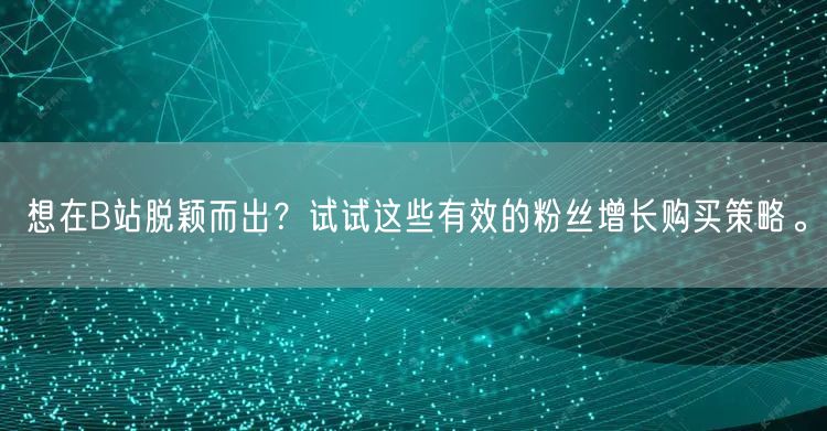 想在B站脱颖而出？试试这些有效的粉丝增长购买策略。