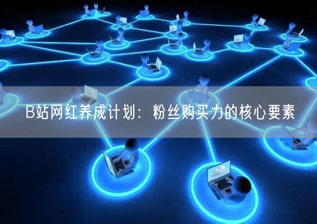 B站网红养成计划：粉丝购买力的核心要素