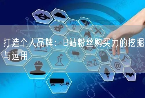 打造个人品牌：B站粉丝购买力的挖掘与运用
