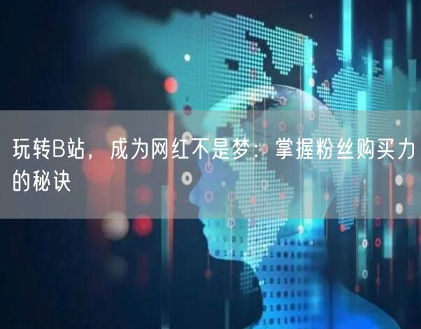 玩转B站，成为网红不是梦：掌握粉丝购买力的秘诀
