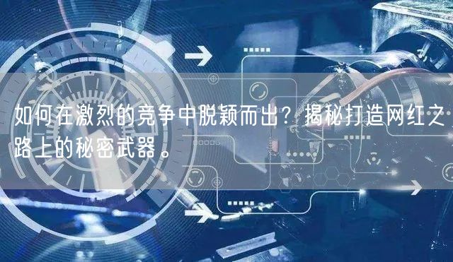 如何在激烈的竞争中脱颖而出？揭秘打造网红之路上的秘密武器。