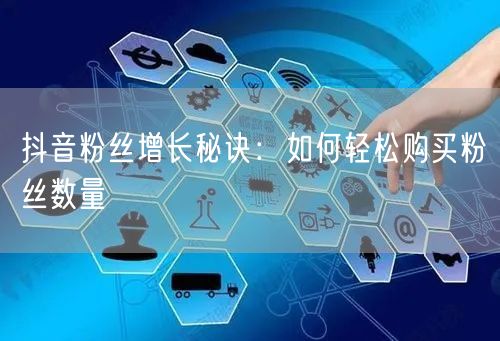 抖音粉丝增长秘诀：如何轻松购买粉丝数量