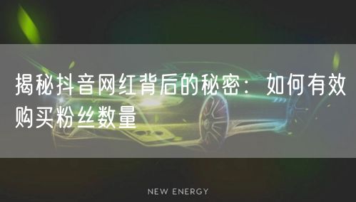 揭秘抖音网红背后的秘密：如何有效购买粉丝数量