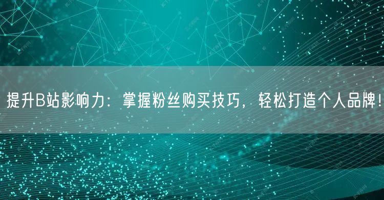 提升B站影响力：掌握粉丝购买技巧，轻松打造个人品牌！