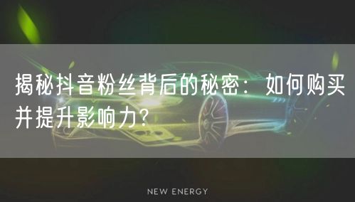 揭秘抖音粉丝背后的秘密：如何购买并提升影响力？