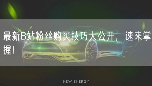 最新B站粉丝购买技巧大公开，速来掌握！