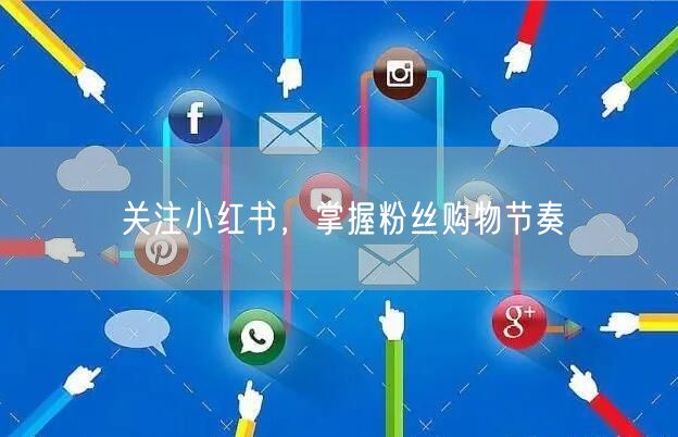关注小红书，掌握粉丝购物节奏