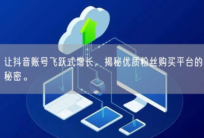 让抖音账号飞跃式增长，揭秘优质粉丝购买平台的秘密。