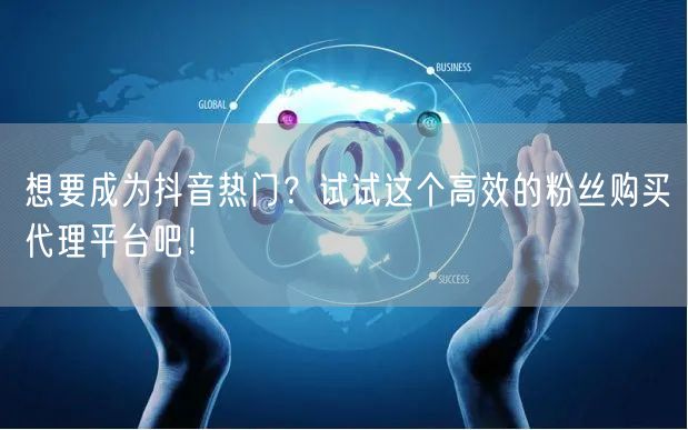想要成为抖音热门？试试这个高效的粉丝购买代理平台吧！