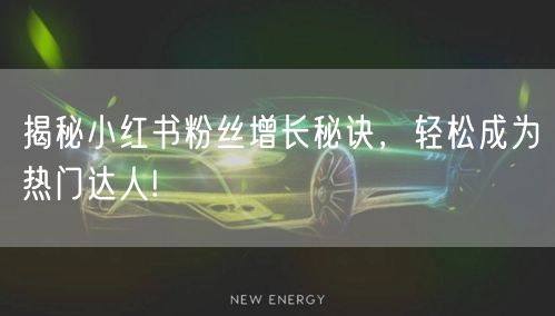 揭秘小红书粉丝增长秘诀，轻松成为热门达人!