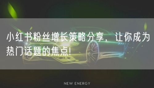 小红书粉丝增长策略分享，让你成为热门话题的焦点!