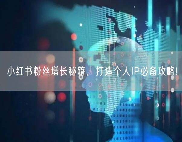 小红书粉丝增长秘籍，打造个人IP必备攻略!