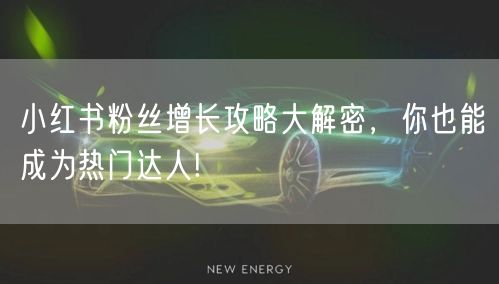 小红书粉丝增长攻略大解密，你也能成为热门达人!