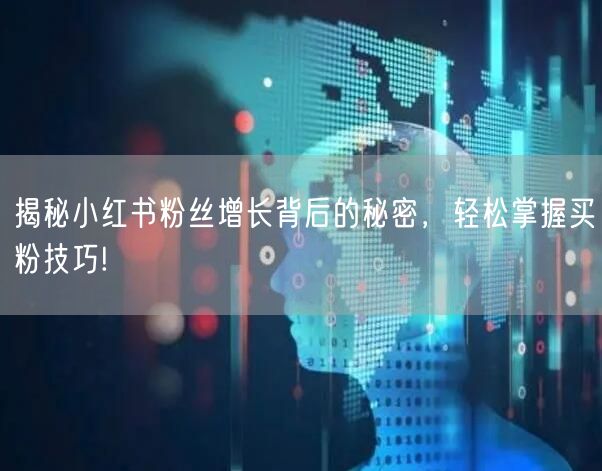 揭秘小红书粉丝增长背后的秘密，轻松掌握买粉技巧!