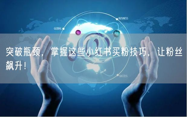 突破瓶颈，掌握这些小红书买粉技巧，让粉丝飙升！