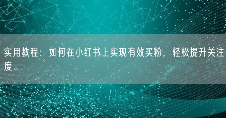 实用教程：如何在小红书上实现有效买粉，轻松提升关注度。