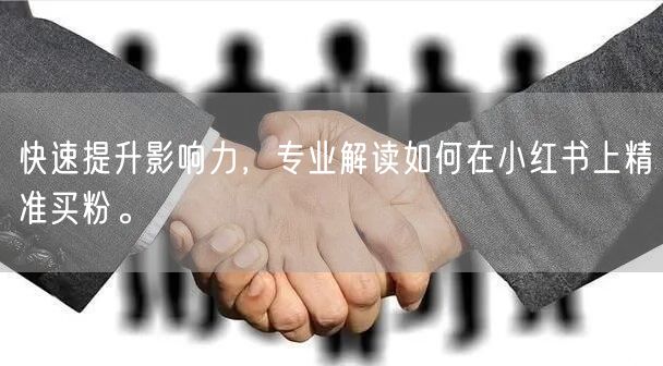 快速提升影响力，专业解读如何在小红书上精准买粉。