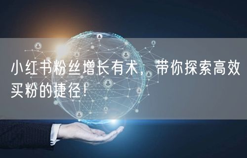 小红书粉丝增长有术，带你探索高效买粉的捷径！