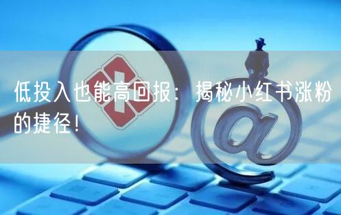 低投入也能高回报：揭秘小红书涨粉的捷径！