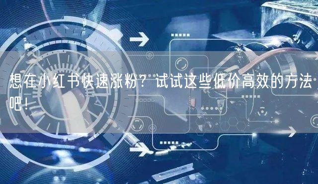 想在小红书快速涨粉？试试这些低价高效的方法吧！