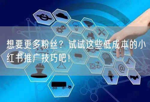 想要更多粉丝？试试这些低成本的小红书推广技巧吧！