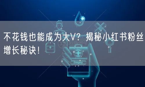 不花钱也能成为大V？揭秘小红书粉丝增长秘诀！