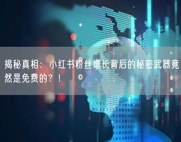 揭秘真相：小红书粉丝增长背后的秘密武器竟然是免费的？！