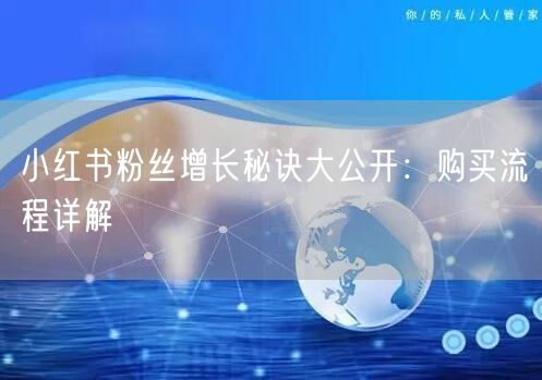 小红书粉丝增长秘诀大公开：购买流程详解