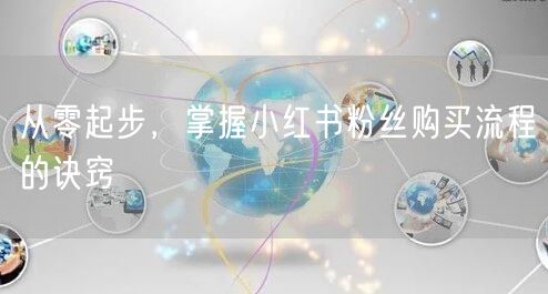 从零起步，掌握小红书粉丝购买流程的诀窍