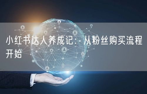 小红书达人养成记：从粉丝购买流程开始