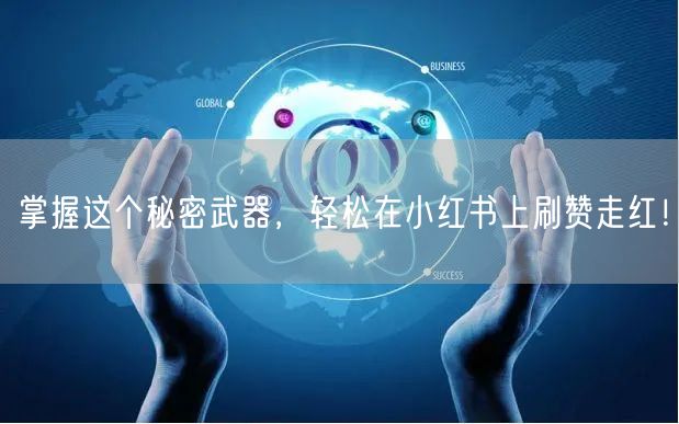 掌握这个秘密武器,轻松在小红书上刷赞走红!