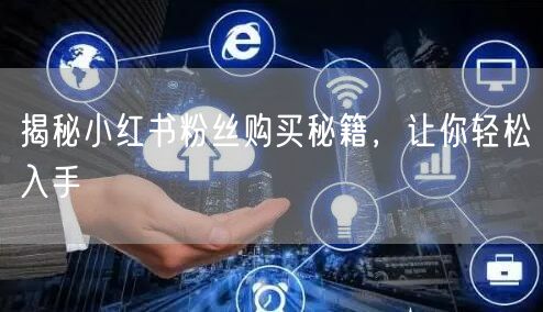 揭秘小红书粉丝购买秘籍，让你轻松入手