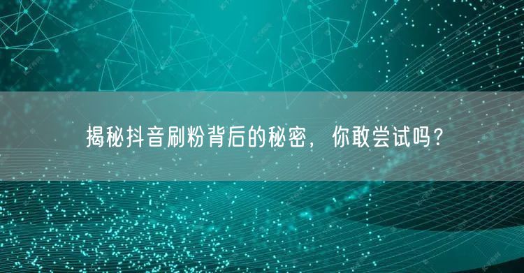 揭秘抖音刷粉背后的秘密，你敢尝试吗？