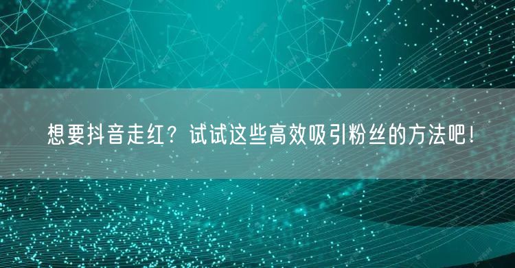 想要抖音走红？试试这些高效吸引粉丝的方法吧！