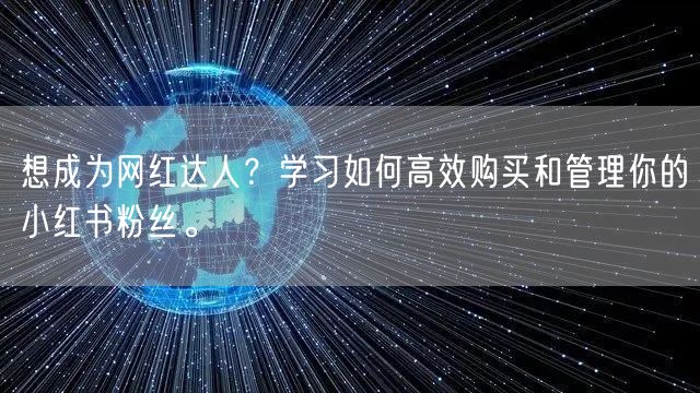 想成为网红达人？学习如何高效购买和管理你的小红书粉丝。