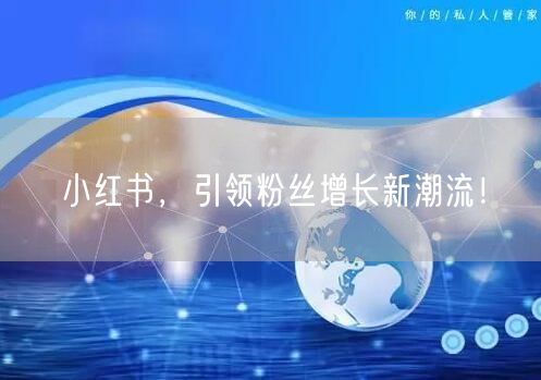 小红书，引领粉丝增长新潮流！