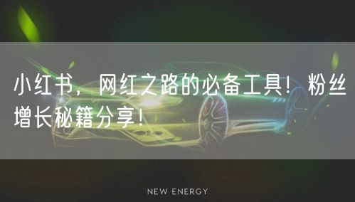小红书，网红之路的必备工具！粉丝增长秘籍分享！