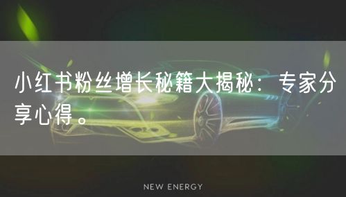 小红书粉丝增长秘籍大揭秘：专家分享心得。