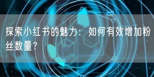 探索小红书的魅力：如何有效增加粉丝数量？