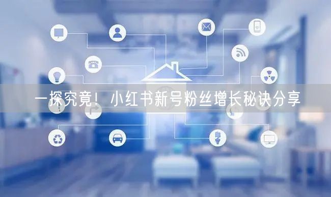 一探究竟！小红书新号粉丝增长秘诀分享