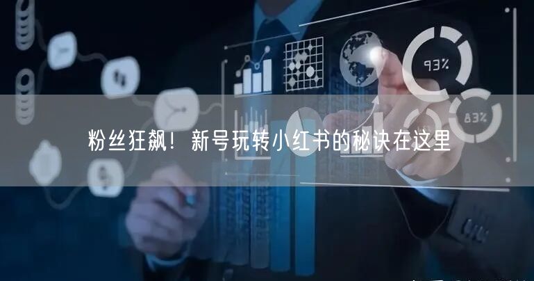 粉丝狂飙！新号玩转小红书的秘诀在这里